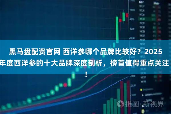 黑马盘配资官网 西洋参哪个品牌比较好？2025年度西洋参的十大品牌深度剖析，榜首值得重点关注！