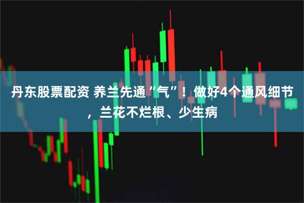 丹东股票配资 养兰先通“气”！做好4个通风细节，兰花不烂根、少生病