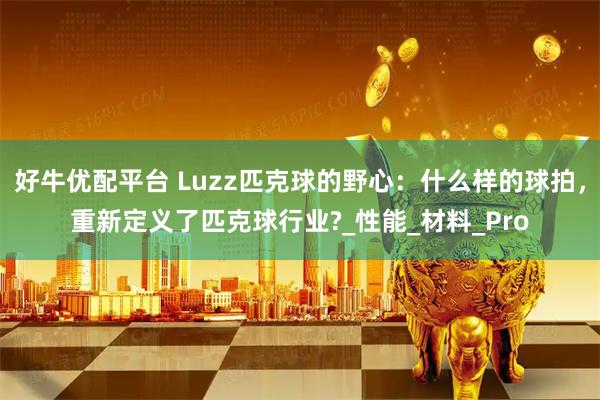 好牛优配平台 Luzz匹克球的野心：什么样的球拍，重新定义了匹克球行业?_性能_材料_Pro