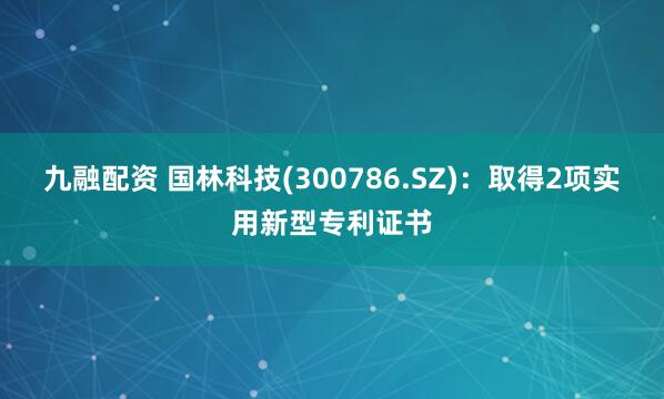 九融配资 国林科技(300786.SZ)：取得2项实用新型专利证书